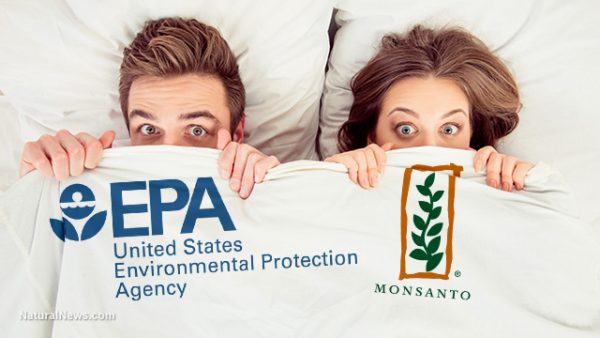 Image result for EPA & pesticides & health & science